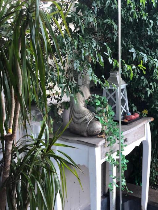 Favoloso Appartamento Roma Con Giardino Exterior foto